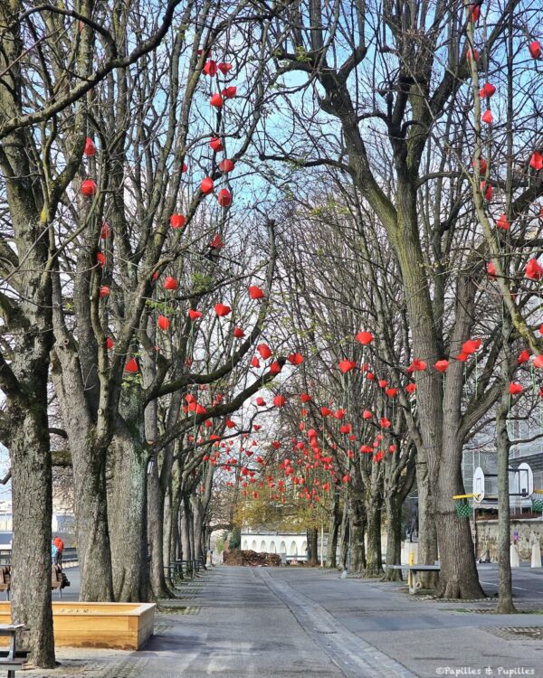 Promenade de la Treille, Genève