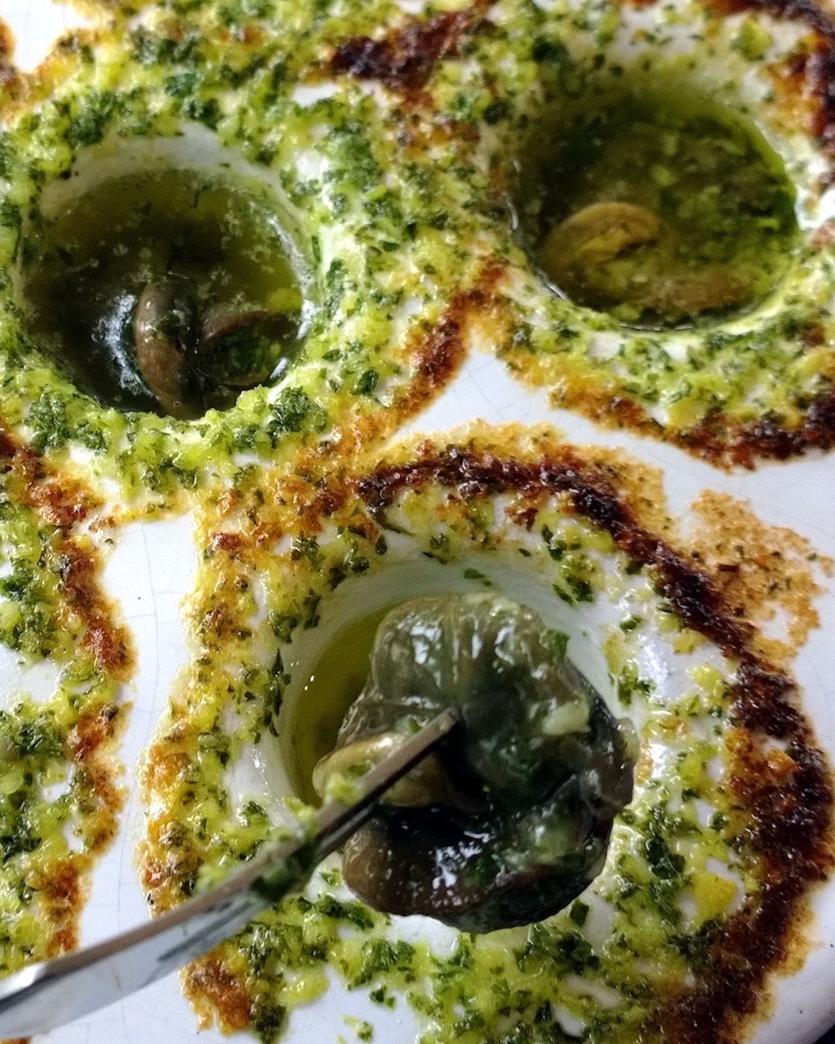 Escargots et beurre d'escargot
