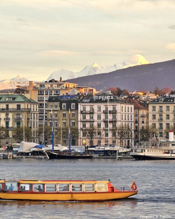 Vue sur Quai Gustave Ador et les Alpes