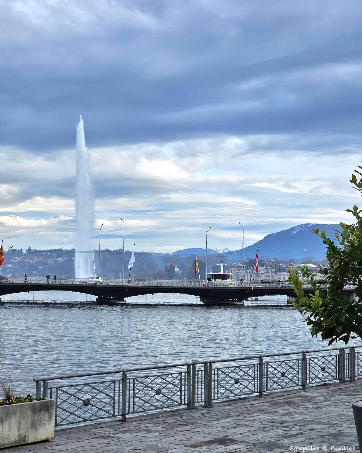 Jet d'eau au lever du jour, Genève