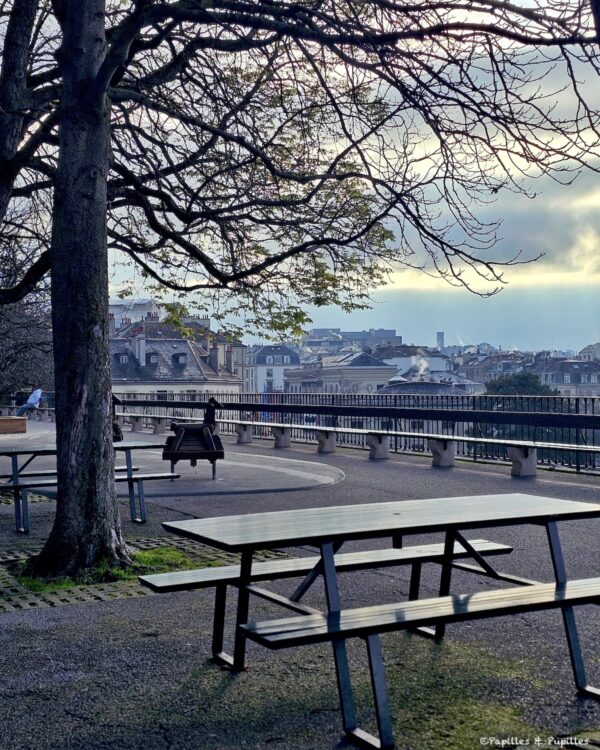 Banc de la Treille, Genève (120 m de long)