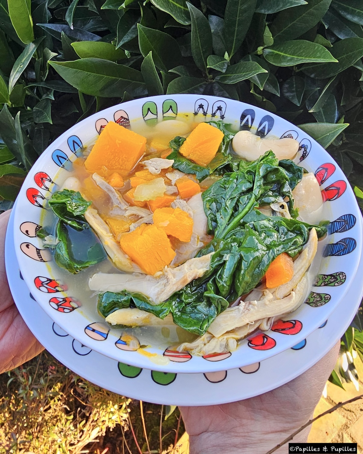 Soupe poulet butternut épinards