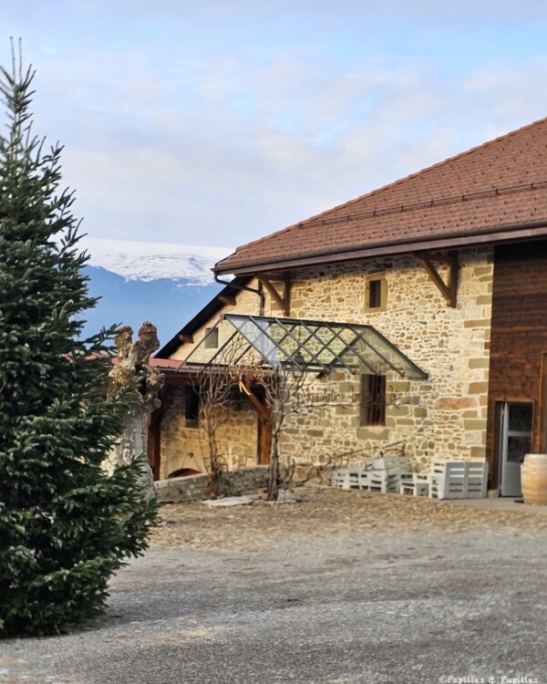 Clos du Château, Choully