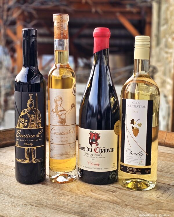 Vins du Clos du Château, Choully