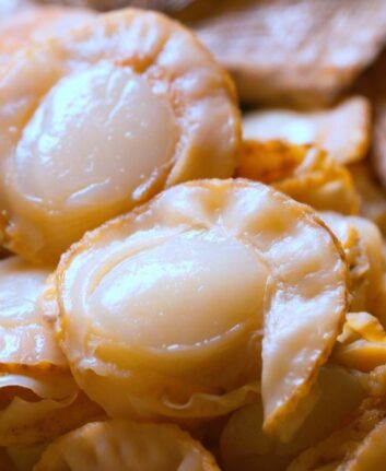 Coquilles Saint Jacques Aomori ©EAST FRANCE