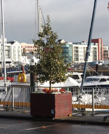 Galway