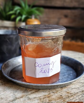 Confiture maison - gelée de coings