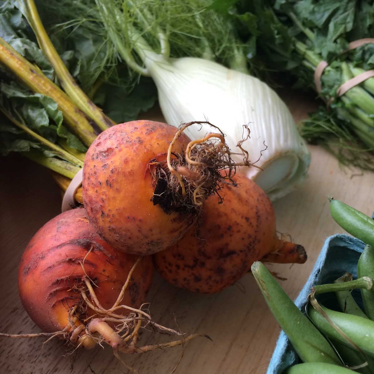 Légumes racines
