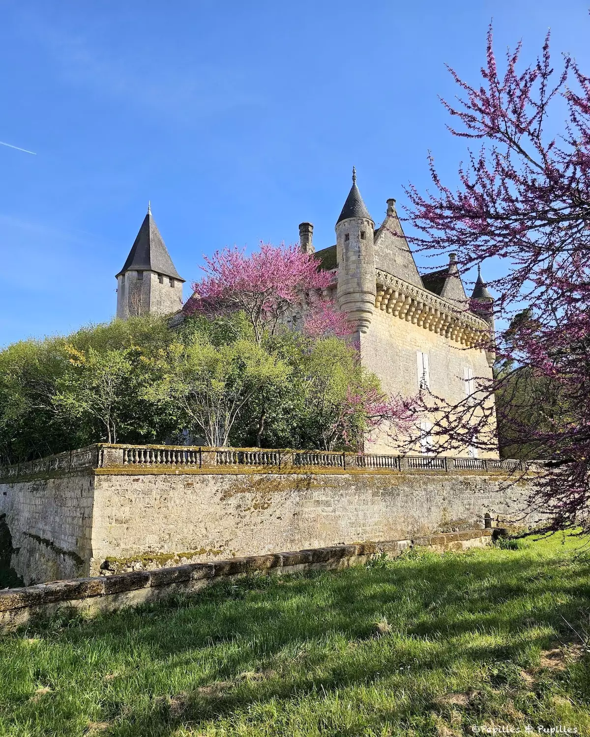 Château du Grand Puch - Saint Germain du Puch