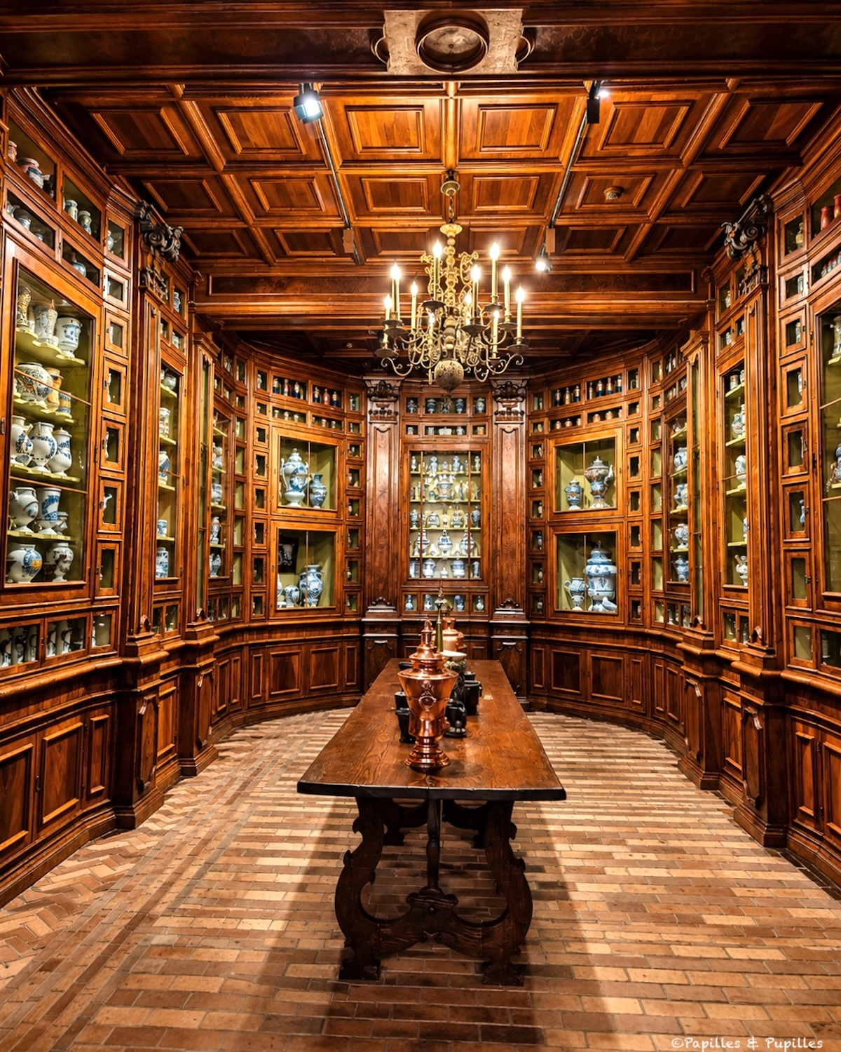 Apothicairerie du château de Chenonceau avec boiseries anciennes et collection de faïences