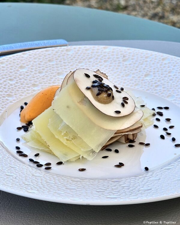 Carpaccio de tomme de brebis et champignons blancs avec sorbet au piment d’Espelette