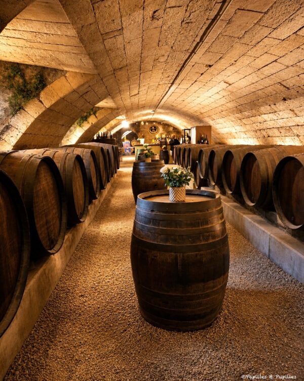 Cave voûtée du château de Chenonceau avec barriques de vin