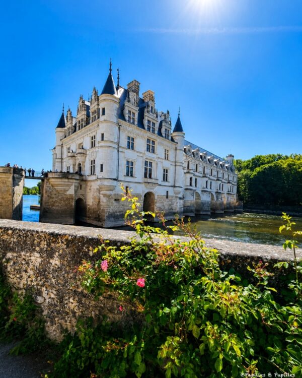 Vue large du château de Chenonceau et de ses jardins