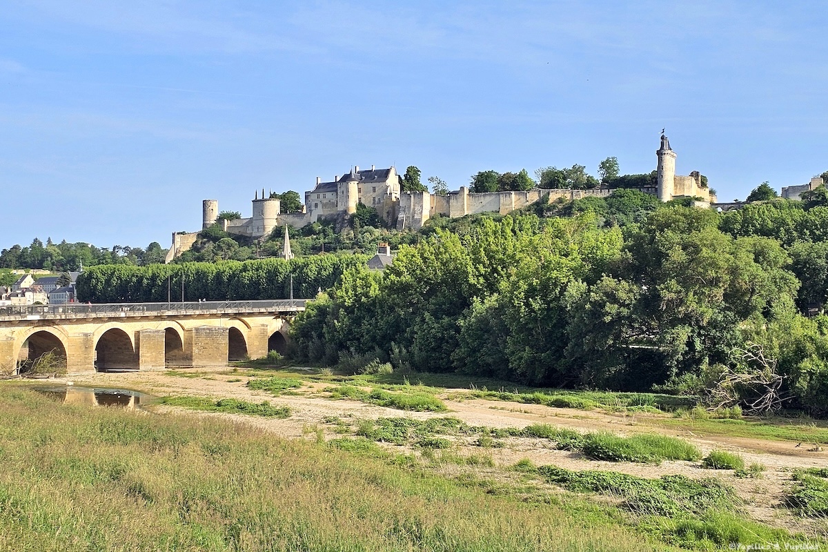 Vue sur Chinon, la Vienne et les toits de la vieille ville