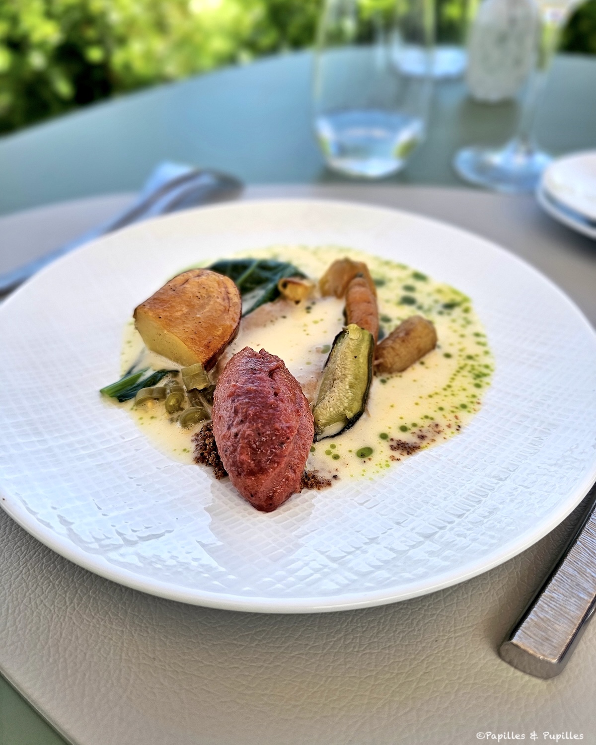 Assiette végétale L’instant T avec légumes du potager, sorbet et sauce aux Jardiniers