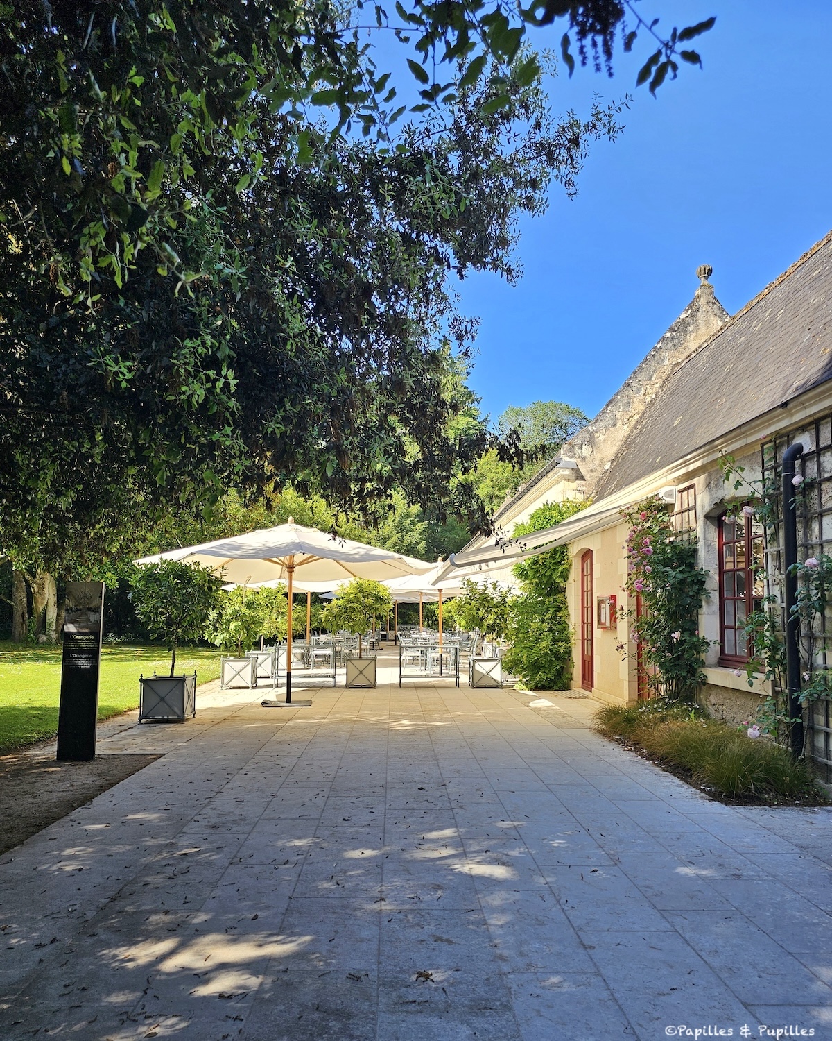 Terrasse ombragée de L’Orangerie du château de Chenonceau