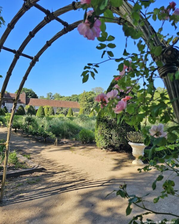Rosiers et arche fleurie dans les jardins de Chenonceau