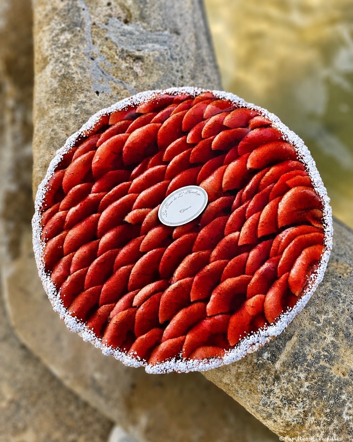 Tarte vigneronne de Chinon nappée de gelée de vin rouge