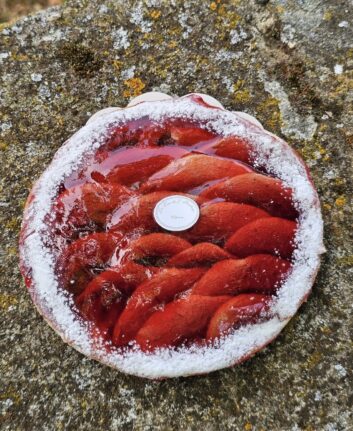 Tarte vigneronne