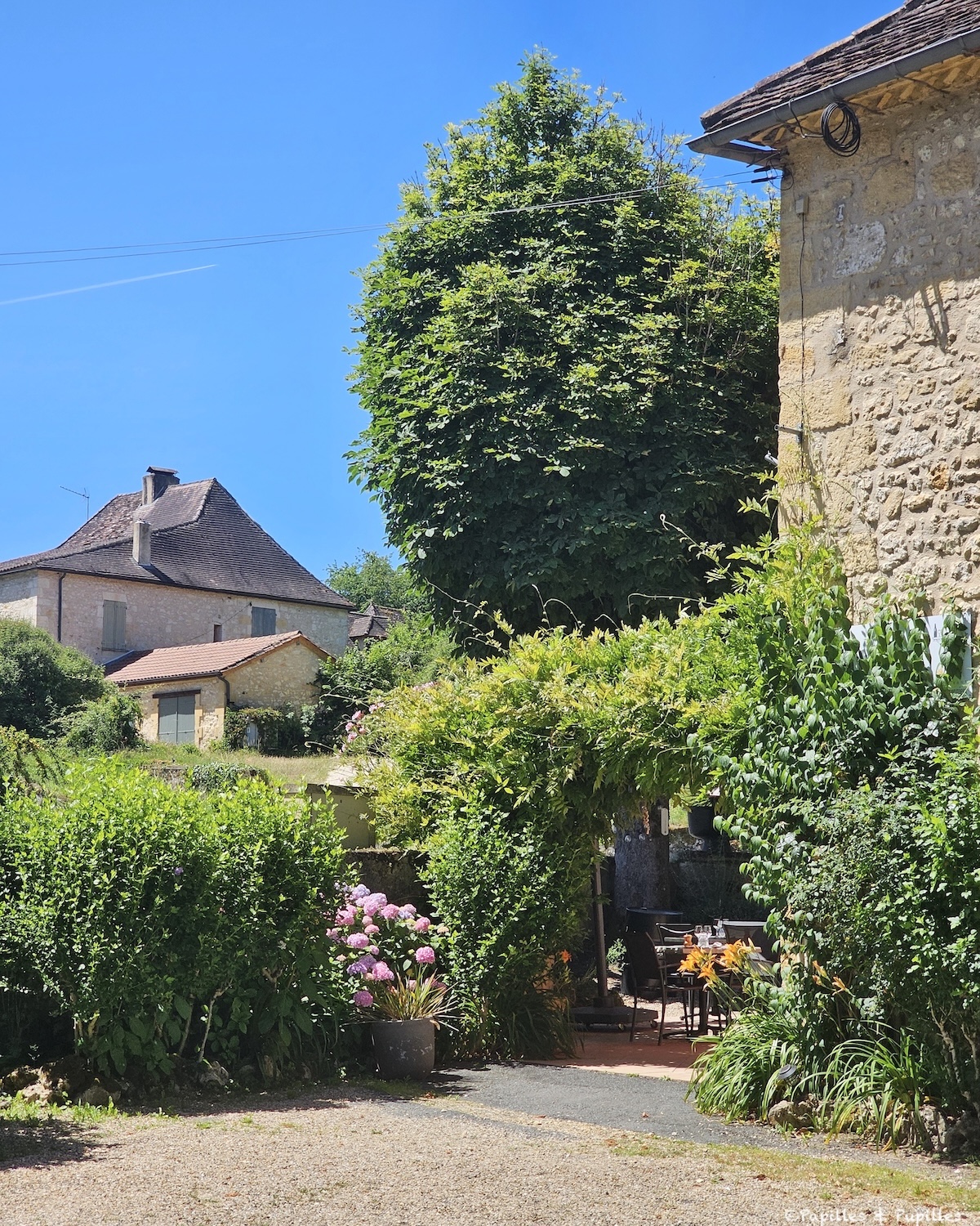 Entrée fleurie du restaurant Les Marronniers à Lanquais, avec maisons en pierre et ciel bleu