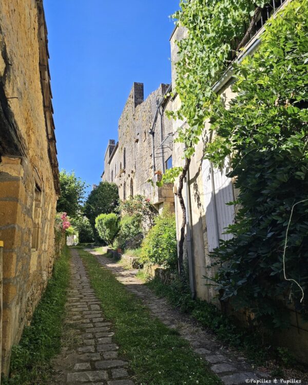 Petite ruelle pavée et végétalisée le long des maisons anciennes de Beaumont-du-Périgord
