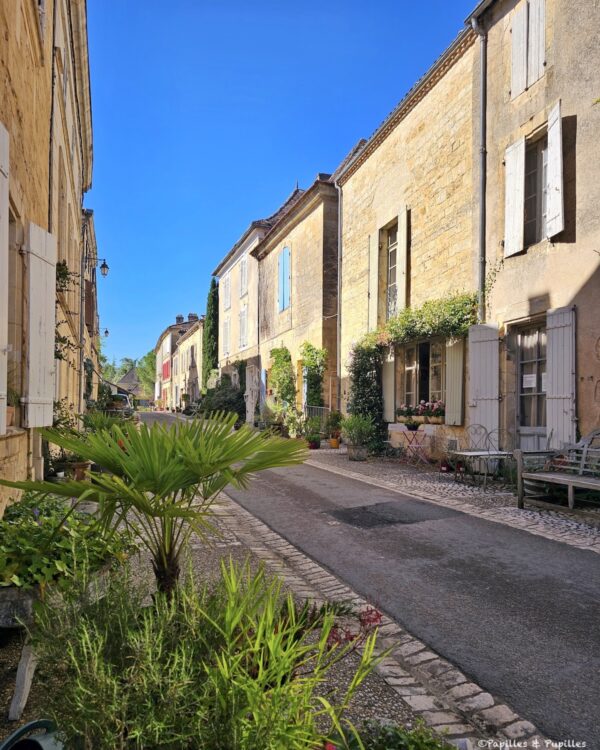 Rue fleurie de Beaumont-du-Périgord avec maisons en pierre blonde et volets clairs Titre : Rue fleurie à Beaumont-du-Périgord