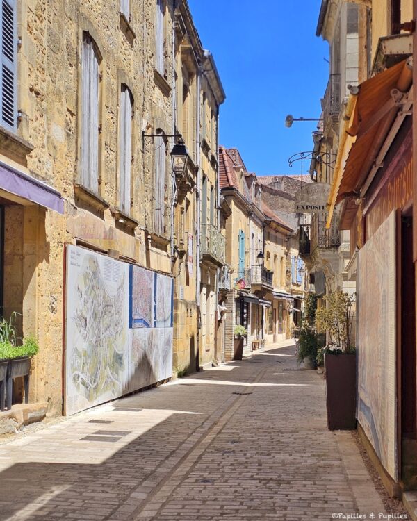 Rue commerçante de Belvès avec maisons anciennes et petites terrasses