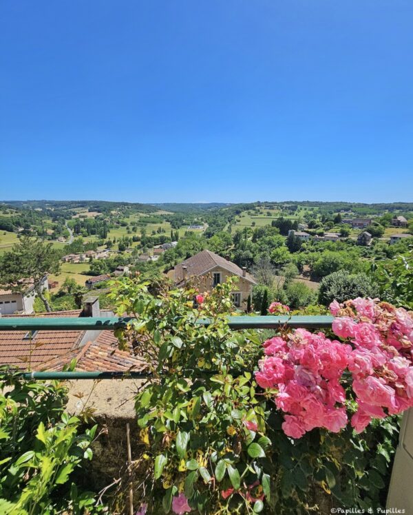 Vue sur la vallée de la Nauze depuis Belvès avec des rosiers au premier plan