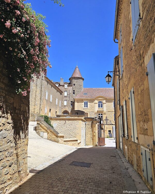 Ruelle de Belvès bordée de murs en pierre et de fleurs avec le château au fond
