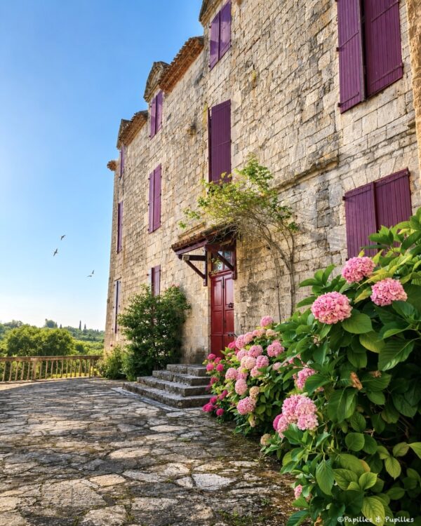 Maison ancienne en pierre avec volets violets et hortensias à Castelnau-Montratier