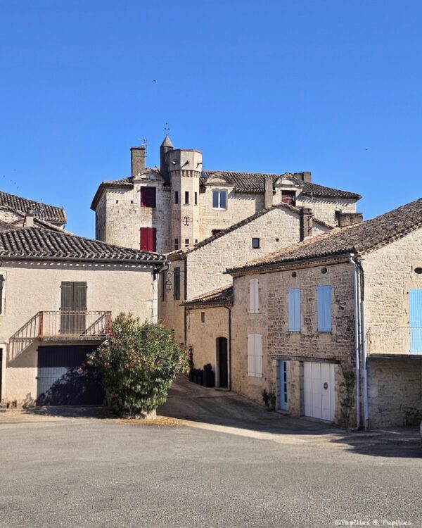 Toits et anciennes maisons de pierre à Castelnau-Montratier avec une demeure à tour