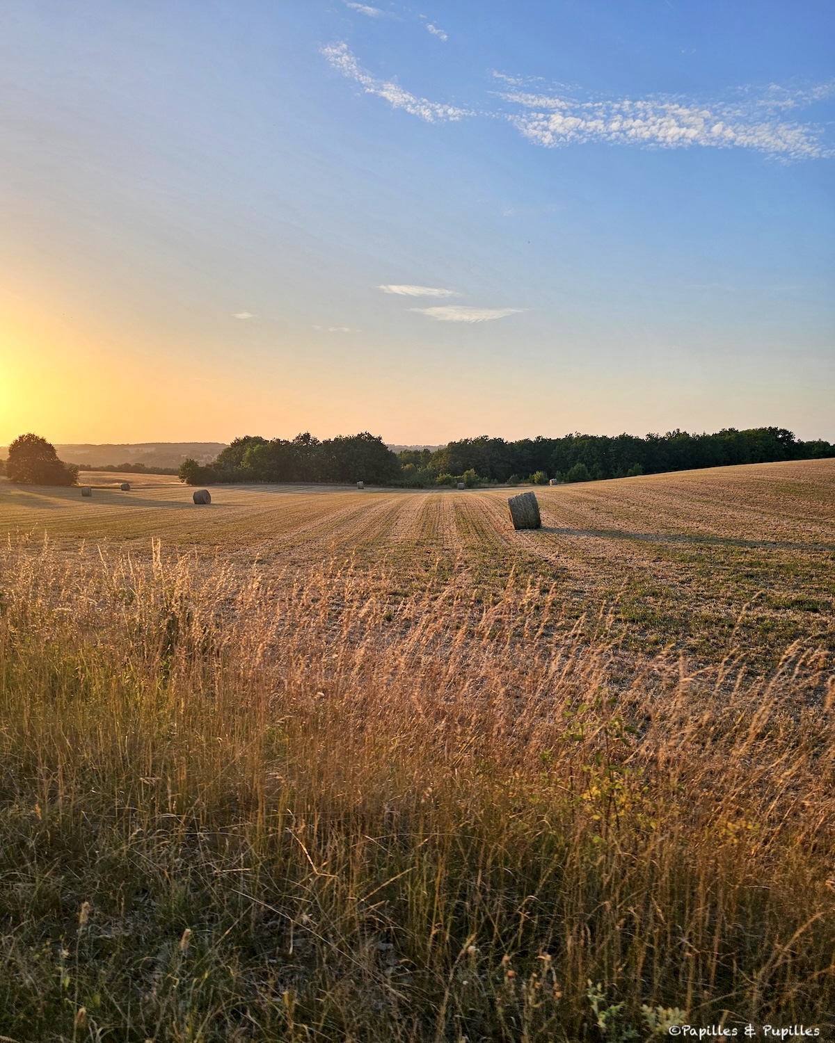 Champ de blé coupé avec bottes de paille au coucher du soleil près de Montcuq