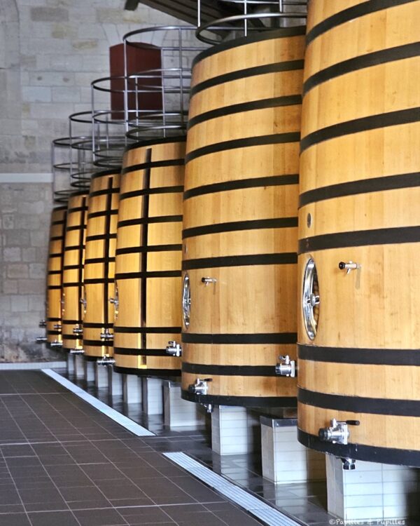 Row of tall oak wine barrels with black hoops in a dim winery cellar, taps visible along the bottom.