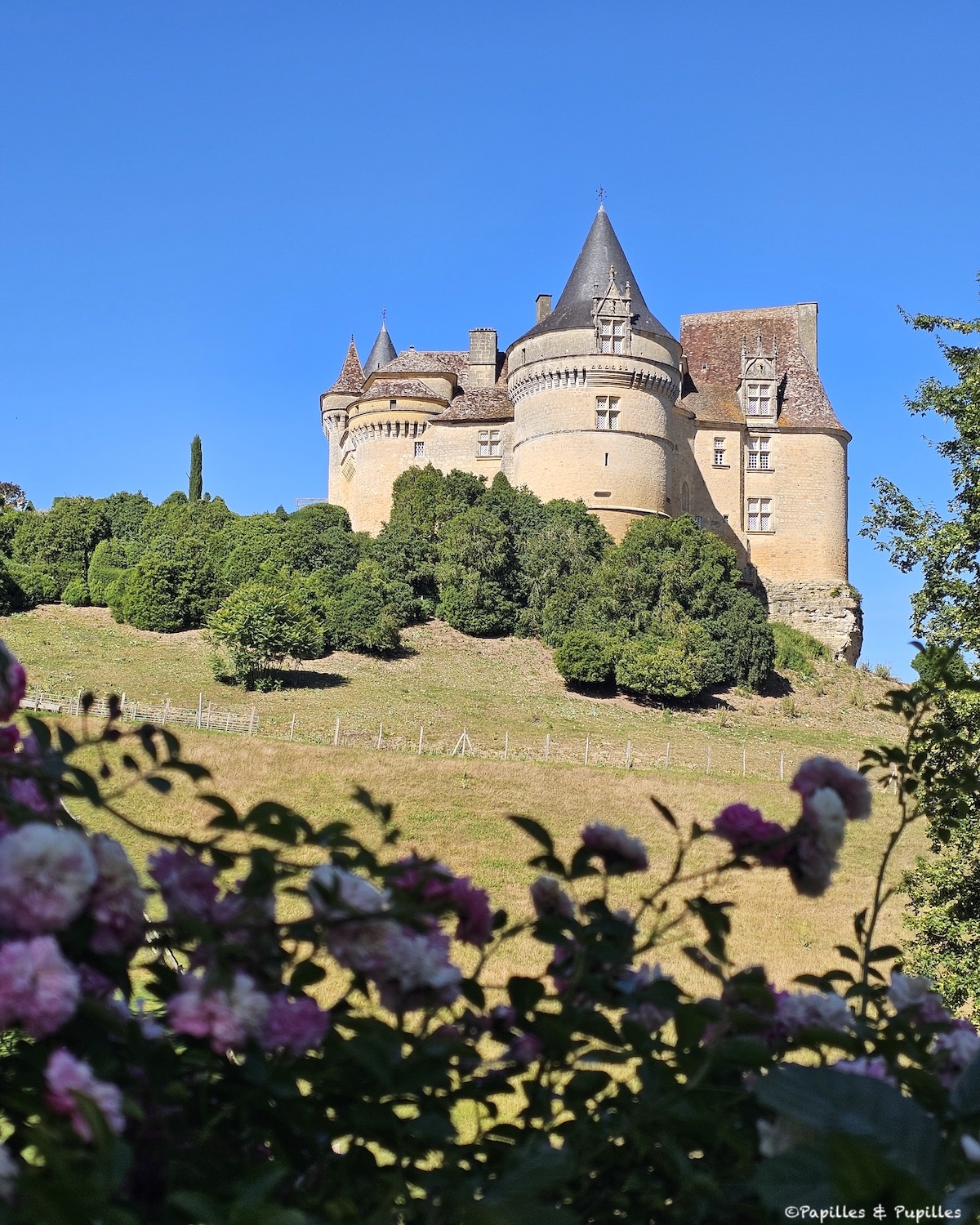 Château de Bannes, Dordogne