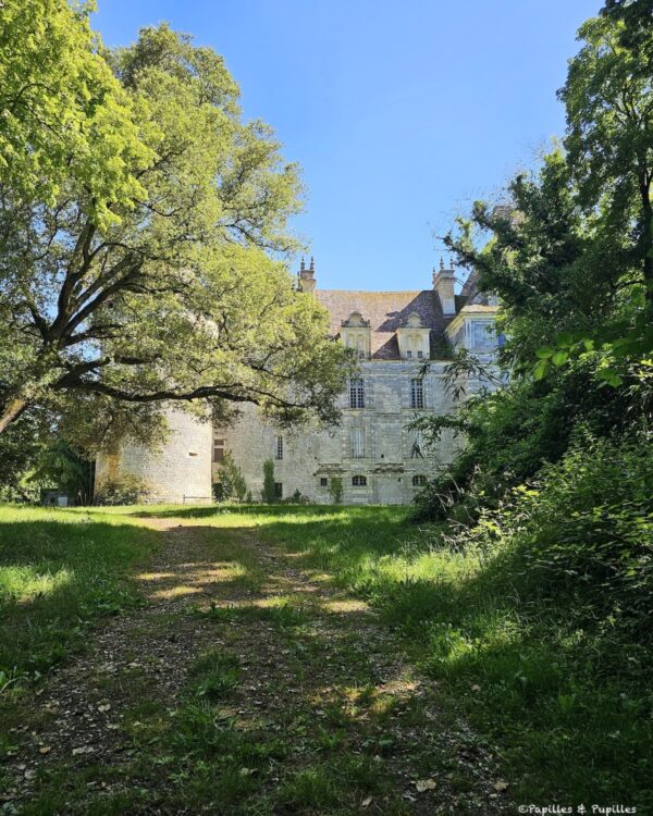 Château de Lanquais aperçu derrière les arbres, dans un écrin de verdure en Dordogne