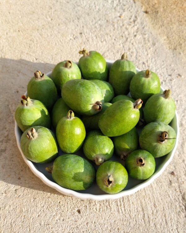 Feijoa ©Moulin O fruits