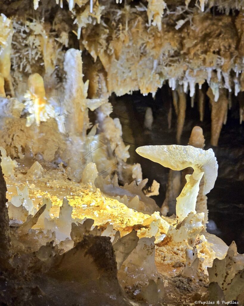 Concrétions calcaires aux formes étonnantes dans la grotte du Grand Roc en Dordogne