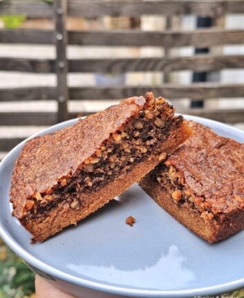 Gros plan sur une part de gâteau aux noix ultra moelleux