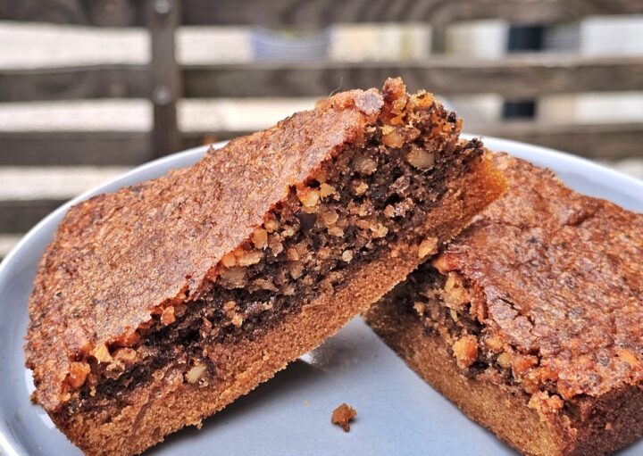 Gros plan sur une part de gâteau aux noix ultra moelleux