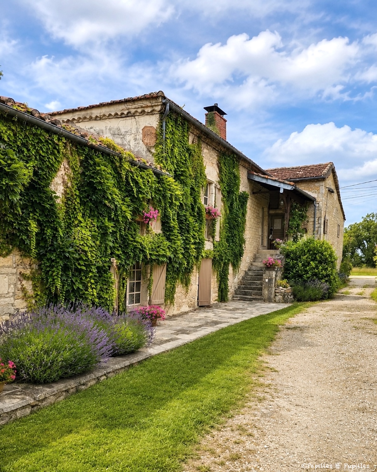 Façade en pierre du Mas de l’Essentiel à Villesèque avec vigne vierge, lavande et ciel bleu
