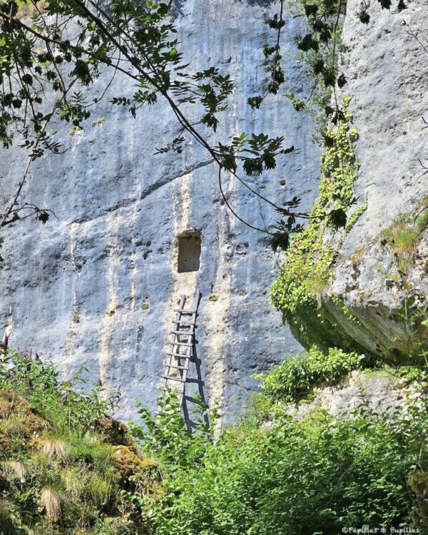 Ancien habitat troglodytique creusé dans la falaise de Laugerie Basse