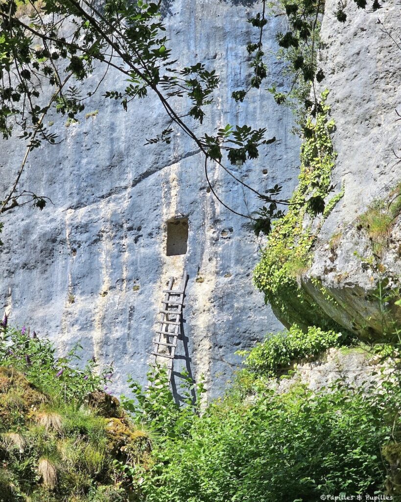 Ancien habitat troglodytique creusé dans la falaise de Laugerie Basse