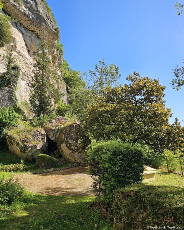 Falaise calcaire dominant le site préhistorique de Laugerie Basse