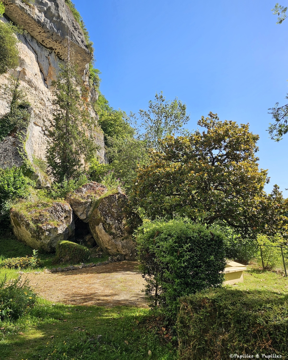 Falaise calcaire dominant le site préhistorique de Laugerie Basse