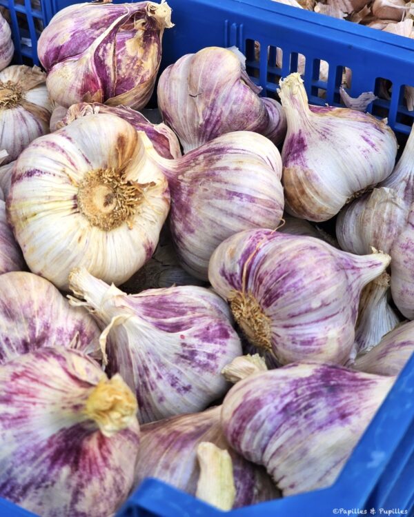 Ail mauve