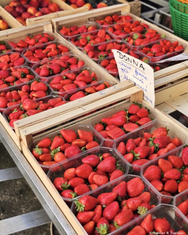 Fraises