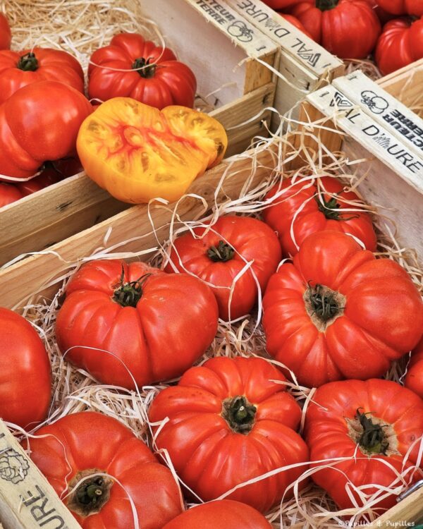 Tomates