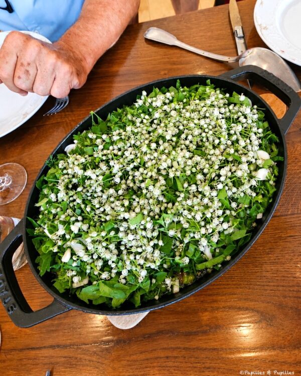 Cocotte de navarin de brebis couverte d’herbes fraîches et de fleurs de poireaux