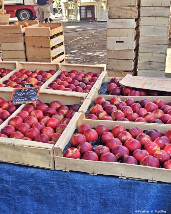 Nectarines