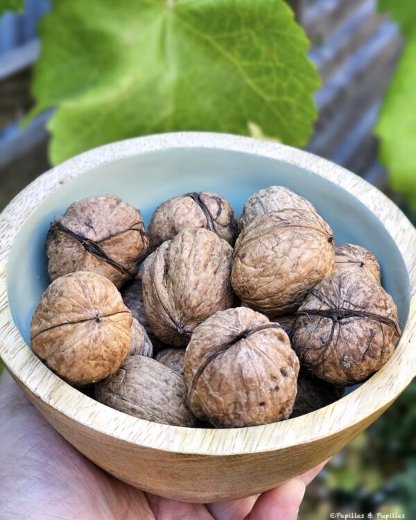 Noix entières dans un bol en bois pour préparer un gâteau maison